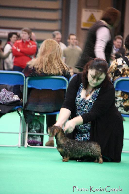 Crufts2011_2 1094.jpg